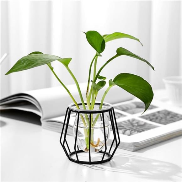 4pcs Plant Stations with Metal Stand Glass Bulb Vases Set for Hydroponics Plants - Picture 3 of 7